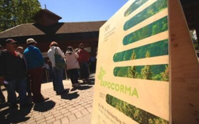 Corma confirma feria forestal para marzo 2020 en Concepción