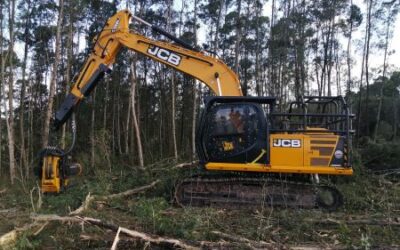 Excavadora “forestizada de fábrica” para máxima productividad