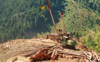 Software para diseñar caminos forestales en versión español