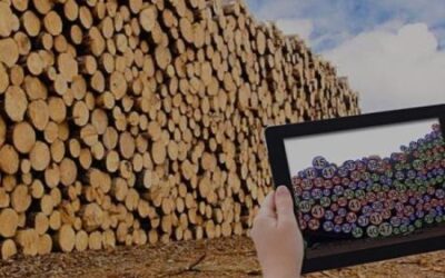 TTC: Innovación que facilita inventarios de madera desde teléfonos Android