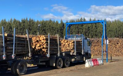 TTC revoluciona la industria forestal con sistema para medir volúmenes de madera
