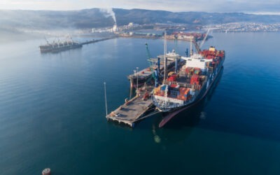 DP World: el operador logístico líder que crece junto a la industria de la madera, celulosa y papel, dice presente en Expocorma 2024