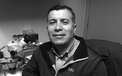 Ariel Sandoval Clavería