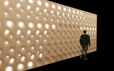 Innovación un camino para el futuro de la industria de la Madera, Departamento de Biomateriales