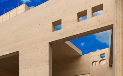 La Madera: Un Encuentro Entre Saberes», Futuro Madera