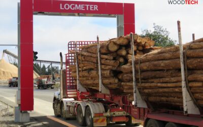 Medición del Volumen Sólido de Madera: La solución eficaz para un suministro controlado y eficiente que presentará Woodtech en Expocorma 2024